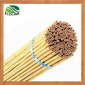 Cane Stake DuDwI' natural Bamboo DuraS
